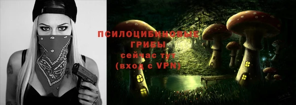 бошки Алзамай
