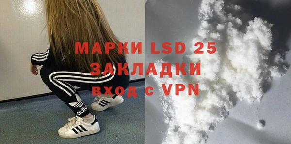 тгк Новодвинск