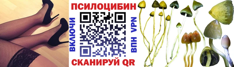продажа наркотиков  Александровское  кракен маркетплейс  Галлюциногенные грибы прущие грибы 